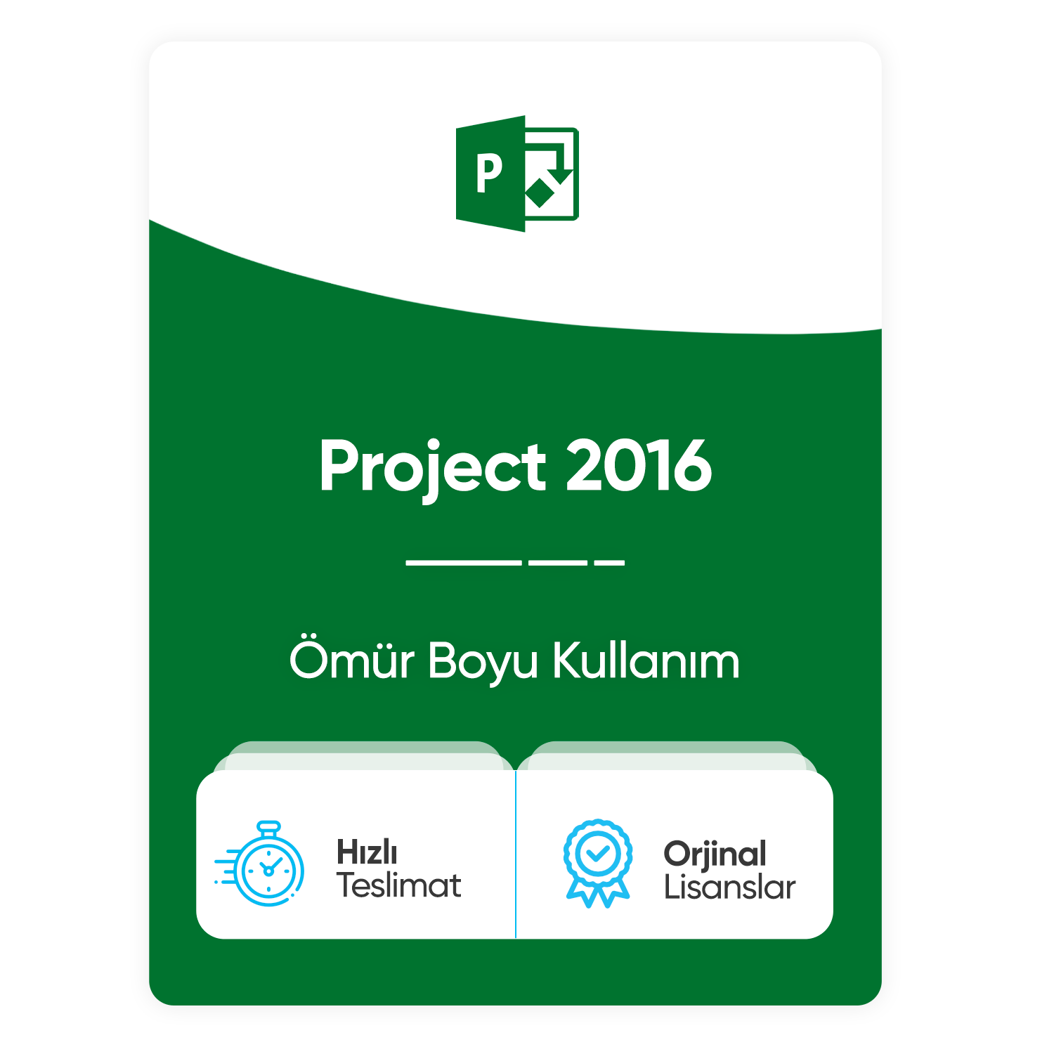 Microsoft Project 2016